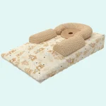 تشک آنتی رفلاکس